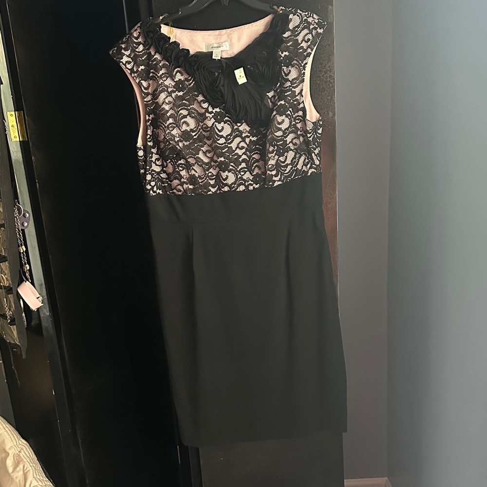 dressbarn Black and Pink Lace Midi Dress